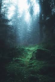 Banshy Puijo Juuso Hamalainen Nature Nature Photography Beautiful Nature