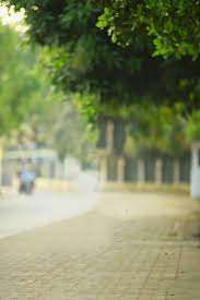 Hd Blur Background For Photo Editing I Picsart Photoshop Blur Photo Background Blurred Background Photo Background Editor