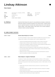 Data Analyst Resume Writing Guide 19 Examples Word Pdf
