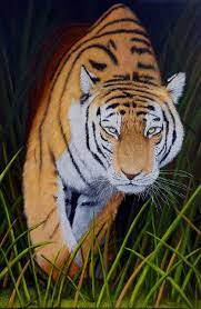Tiger In The Grass Acrylic Painting Brian Sloan Artist Tiger Painting Acrylic Original Animal Painting Fine Art Giclee Prints
