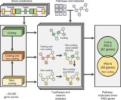 The notion that oxygen might selectively destroy cancer cells goes back to the 1930s, when nobel prize winner otto warburg, m.d., discovered that, compared to normal cells, cancer cells have a low respiration rate. Pathway And Network Analysis Of More Than 2500 Whole Cancer Genomes Nature Communications