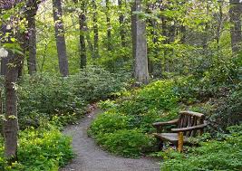 Framingham S Garden In Woods Re Opens Framingham Source In 2020 Garden In The Woods Framingham Woodland Garden