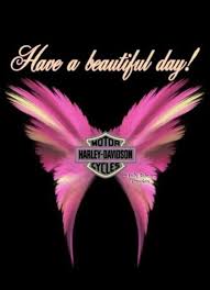 Have A Beautiful Day Harley Style Harley Davidson Quotes Harley Davidson Helmets Harley Davidson Motorcycles