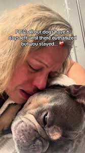 Did you stay and save our dogs lives? 🥺 #dogshelter #rescuedog #dog  #charity