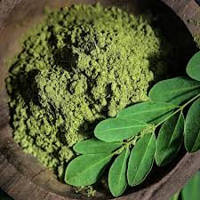 Image result for Moringa