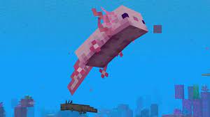 They can be distinguished by their color: Minecraft Axolotl Colors Gamer Journalist