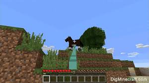 Riptide In Minecraft