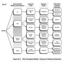 Environmental Hazard Wikipedia