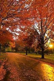 Autumn di united kingdom, fall di amerika syarikat) ialah salah satu daripada empat musim di daerah beriklim sederhana. Musim Luruh Wallpaper Muat Turun Ke Telefon Bimbit Anda Dari Phoneky