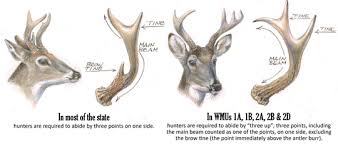 Your Complete Guide To The 2019 Rifle Season Dates Antler