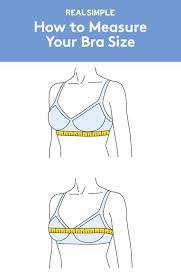 Shop bra fit calculator at jcp. èƒ¸éƒ¨1