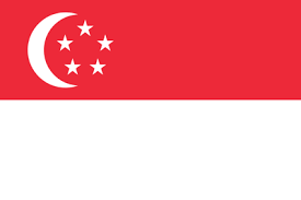 Icons are in line, flat, solid, colored outline, and other styles. Singapore Flag Icon Country Flags