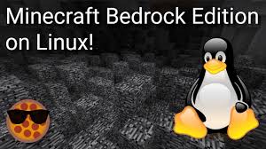 Java and bedrock versions both have dedicated servers,. Minecraft Bedrock Launcher Linux