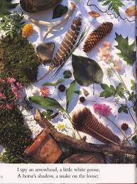 The beauty of these books, which include i spy funhouse and i spy gold challenger, is that when the initial riddle is solved, there are still extra credit riddles in the back, as. I Spy A Book Of Picture Riddles Jean Marzollo Free Download Borrow And Streaming Internet Archive