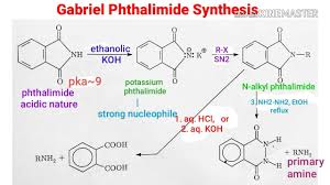 Animation Gabriel Phthalimide Synthesis Mechanism