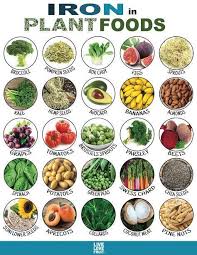 Pin On Health