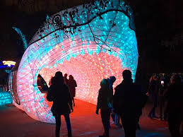 60 boulevard du jardin des plantes, 80000, amiens, france. Especes En Voie D Illumination Une Expo Qui A De La Gueule