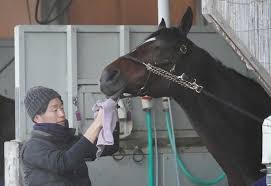 【宝塚記念馬体診断】カレンブーケドール デイリースポーツ 2021/06/21 13:46 民家崩落は2棟の4軒 別の1軒にも危険性 高岡早紀、10歳長女が愛犬を. æœ‰é¦¬è¨˜å¿µ 10 ã‚«ãƒ¬ãƒ³ãƒ–ãƒ¼ã‚±ãƒ‰ãƒ¼ãƒ« å‰å…† ã®10ç•ªã  å›½æžå¸« æ¥å¹´ã«å'ã'çµæžœå‡ºã›ã‚Œã° ã‚¹ãƒãƒ‹ãƒ Sponichi Annex ã‚®ãƒ£ãƒ³ãƒ–ãƒ«