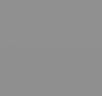 Interpon D1036 - RAL 7004 HR - Smooth Matt HR SL804G