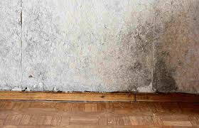 Inondazioni, perdite di tubi e altre cose simili possono causare l'accumulo di acqua all'interno delle pareti. Muffa Sui Muri Per Perdite D Acqua Cosa Fare Per Rimediare