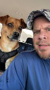 Be sure to ask pet owners before giving treats