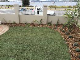 These pavers have holes in them designed for the growth of grass, and when placed next to each other create a grassy surface that needs significantly less water and maintenance than a full lawn.16 x research. What Is The Best Lawn For Perth Choose What S Best For Your Garden