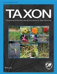 Image result for Vahlia dichotoma