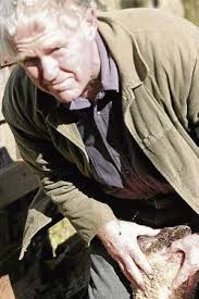 Devastation over grisly dog attack