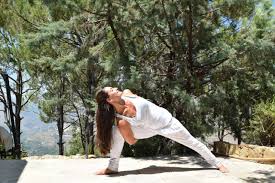We did not find results for: Beirut Yoga Center Pre Office Yoga Booster Rise Shine With Sara S Class Every Tuesday Morning From 07 15 To 08 30 Who Is Sara Sara Darwiche Being Physically Active By Nature Always