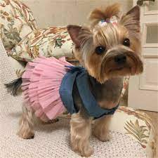 Wellness offers complete, natural nutrition with no unhealthy additives. Pet Dog Clothes Dress Puppy Shirt Skirt Costume Apparel For Yorkie Schnauze Cat Ebay