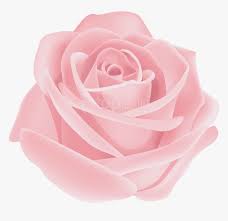 The following tea rose diner menu is dated april 2020: Garden Family Hybrid Tea Rose Plant Rose Centifolia Flowering Png Rose Pink Flower Transparent Png Transparent Png Image Pngitem
