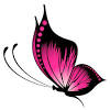 To created add 41 pieces, transparent butterfly images of your project files with the background cleaned. 1