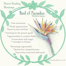 Bird Of Paradise Flower Meaning Cheralyn Darcey Flower Reading Oracle Cards Birds Of Paradise Flower Paradise Flowers Flower Meanings