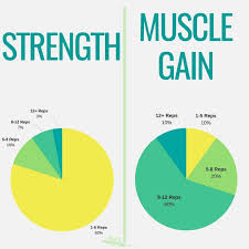 Rep Ranges For Strength Vs Muscle Gain Last Night You Learned About The Types Of Rep Ranges For Building Muscle Here How To Grow Muscle Gain Muscle Muscle