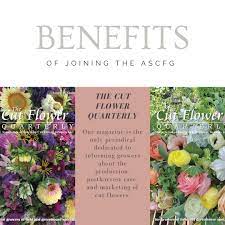 Maybe you would like to learn more about one of these? Association Of Specialty Cut Flower Growers Inc Home Facebook