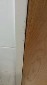 If you remove the door from the frame, the frame may shift and the door may not fit or function properly when replaced. Paint Peeling Off Bathroom Door Frame Picture Of Radisson Blu Hotel Glasgow Tripadvisor