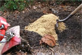 Maybe you would like to learn more about one of these? Soil Bed Preparation Walter Reeves The Georgia Gardener