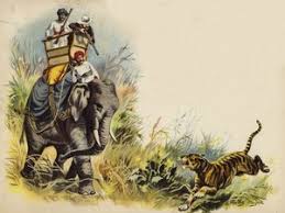 Wales tiger shooting during ...