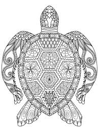Aqui você encontra muitos desenho de tartaruga para colorir, pintar e imprimir. Mandala De Tartaruga Para Colorir Desenhos Para Colorir