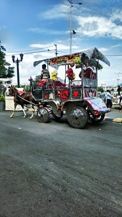 Victoria Horse Carriage @ Gateway of India, Mumbai, India. #Horse #Mumbai #India #Travel
