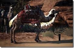 Press rmb on this item and follow the guide to the stable. Bdo Fashion Camel Light Hide Black Desert Online