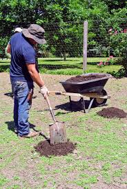 Pumpkin patch soil, pumpkin nook. Planting In The Pumpkin Patch The Martha Stewart Blog