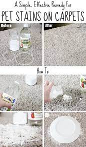We did not find results for: Pin On Cleaning