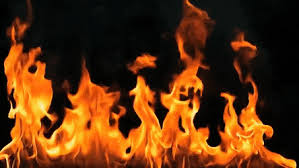For your convenience, there is a search service on the main page of the site that would help you find images similar to fire gif png with nescessary type and size. Best Background Fire Gifs Gfycat