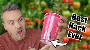 Francisca Robertson's Instagram, Twitter & Facebook