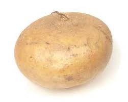 Find your favorite premium manhwa and webtoons online for free at toongod com. Apa Nama Sengkuang Dalam English Jamilahamzah