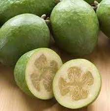 Image result for Feijoa