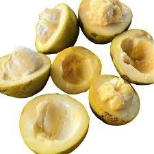 Image result for Casimiroa