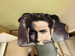 Does anyone know what (if any) vets take old towel donations?