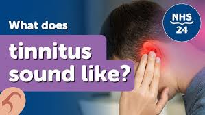 Image result for Tinnitus